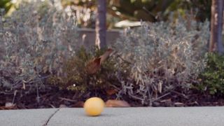 Andrea Flowers Naked - Oops Nudity Video