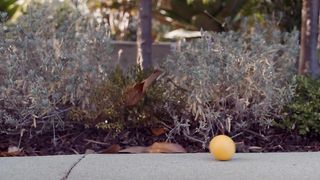 Andrea Flowers Naked - Oops Nudity Video