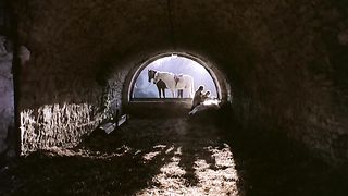 Brigitte Lahaie sex in 'Je Suis A Prendre'