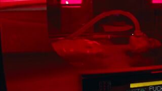 Carla Gugino, Abbey Lee nude - Elizabeth Harvest (2018)