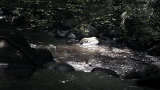 Cylia Malki - Carpe Diem (2013)