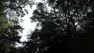 Cylia Malki - Carpe Diem (2013)