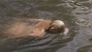 Daryl Hannah & Kathy Bates nude - At Play in the Fields of the Lord (1991)