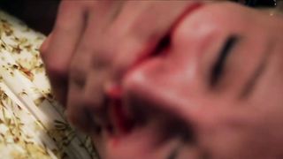 Diza Franzen rape sex scene - Vagskal (2012)