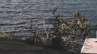 Elizabeth Olsen Nude - Martha Marcy May Marlene (2011)