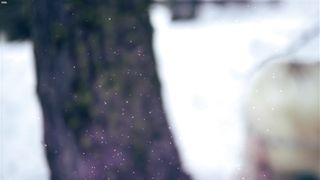 Gemma Donato - Sleeping Beauty (2014)