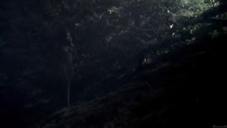 Hanna Hall & Other  - Happiness Runs (2010)