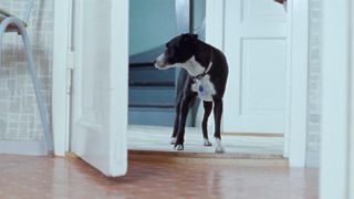 Helene Bergsholm nude – Turn Me On Dammit (2011)