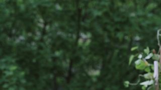 Jade Henot - Le hula hoop (2016)