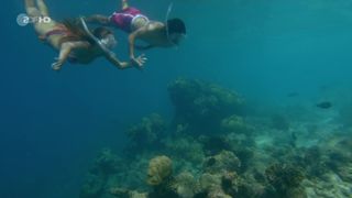 Victoria Swarovski - Das Traumschiff s01e90 (2021)