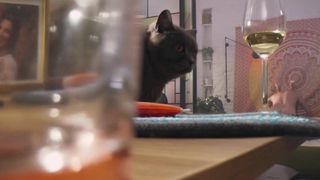 Anna Dereszowska, Weronika Ksiazkiewicz, Rita Weinar sexy show - Mayday (2020)