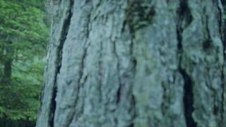 Maja Susa hot - Porodicni odmor (2020)