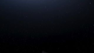 Bracken Burns, Hannah Gross - Falling (2020) celebrity A topless scenes scene