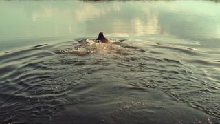 Petra Schmidt-Schaller - Die Toten von Marnow s01e01-04 (2021) celeb boobed scene