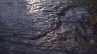 Frances McDormand - Nomadland (2020) actress boobs scene