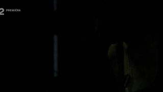 Tereza Nvotova, Anna Siskova, and other - Male oslavy (2008) actress topless scenes show