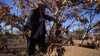 Julia Rose Morgan - Hitman Pervert (2016) actress booby show