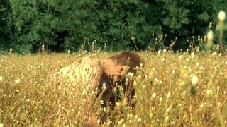 Meda Andreea Victor nude ⭐ Nunta Muta (2008)