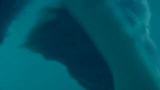 Maïwenn Le Besco naked, Estelle Lefébure ⭐ Le bal des actrices (2009)