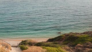 Elena Kampouris great - My Big Fat Greek Wedding 3 (2023) adult beach episode