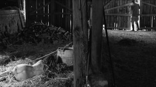 Full Frontal ⭐ Fiamma Camesi naked ⭐ Sour milk (2021)