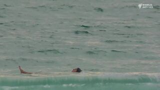 Nathalie Morris nude, Hannah Lynch sexy ⭐ Petrol (2022)=