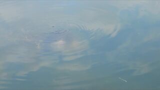 Louison Alix sexy - Palme (2020) dity sex episode