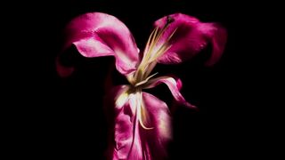 Barbara Lopez hot ⭐ Señorita 89 (2022)