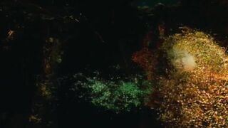 Laura Harris ⭐ Habitat (1997)