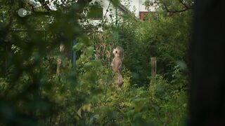 Nina Gummich naked ⭐ Theresa Wolff Waidwund (2022)