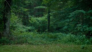 Louise Manteau naked sex scene - Wolfkin (2022)