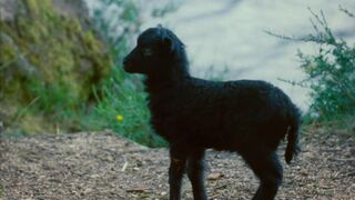 Camille Berthomier nude ⭐ Astrakan (2022)