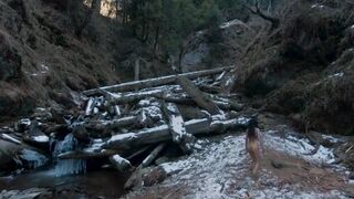 Navjot Randhawa naked ⭐ The Shepherdess and the Seven Songs (2020)