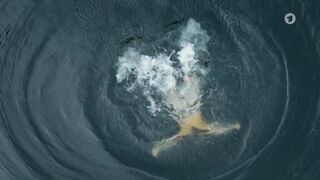 Silke Bodenbender sex - Check out (2022)