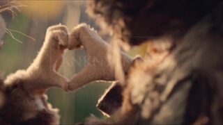 Pia Tjelta nude, Sarah Dawn Finer Diorama sexy, Sara Shirpey nude ⭐ Diorama (2022)