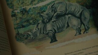 Amalia Kassai nude ⭐ A Place Called Dignity (2021)