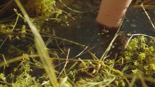 Eleonora Jodkowska naked ⭐ The Dawn (2021)