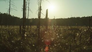 Eleonora Jodkowska naked ⭐ The Dawn (2021)