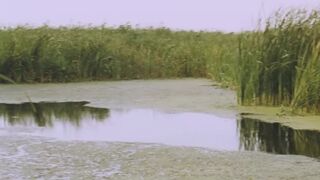 Meda Andreea Victor topless. The Trip - Excursia (2022)