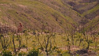 Silvia Spross topless. Old Ones (2024) Explicit Nudity Scene