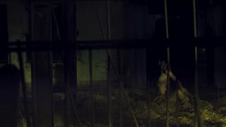 Karin Hanczewski naked, Jenny Schily sex - Bruder Schwester Herz (2019)