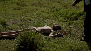 Valeriya Bogdanova topless. Ten Chikatilo s01e07 (2024)