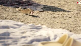 Constance Bascou Topless. La peste s01e01e04 (2024) adult movie scenes