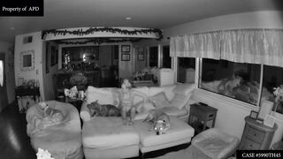 Victoria Vertuga Nudity. Full Frontal Hidden Cam Scenes