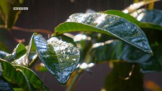 Linda Nobat sexy, Tara Tabitha topless, Janina Youssefian, Jasmin Herren hot from TV Show IBES (2022)