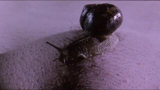 Outdoors Nudity Scene. Anna Gorynsztejn nude. Belle de nature (2009)