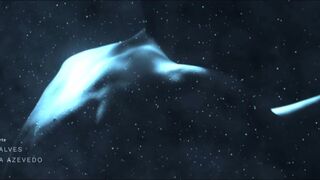 Maria Leite nude  - Mar Infinito (2021)