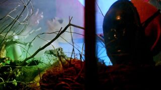 Angelica Ulloa nude - Moon Garden (2022) Music Topless Clip