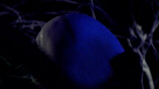 Angelica Ulloa nude - Moon Garden (2022) Music Topless Clip