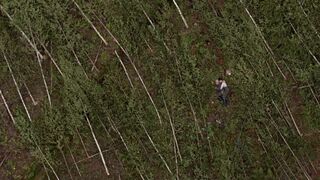 Oona Airola naked - Oma maa (2018)